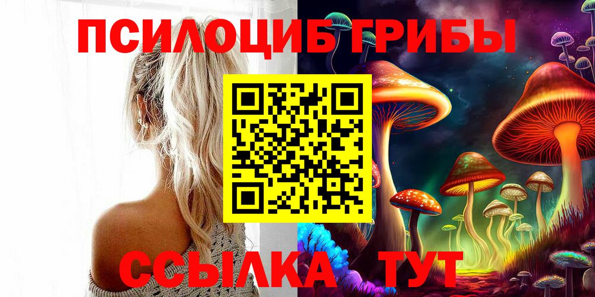 Псилоцибиновые грибы Cubensis  Псилоцибиновые грибы Psilocybe  Елабуга  Вход с VPN 
