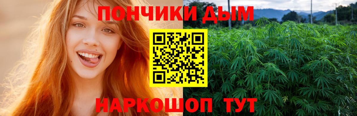 Бошки Шишки OG Kush  Вход с VPN  Бошки Шишки AK-47  Елабуга  Бошки марихуана THC 21% 